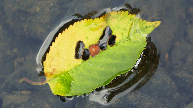 Meditative Fotografie