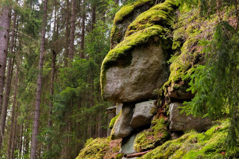 Felsen Waldnaabtal